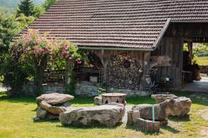 IMG-20250703-WA0062