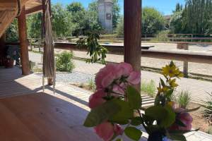 IMG-20260702-WA0008