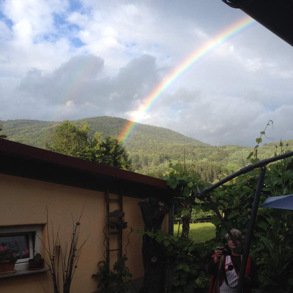 regenbogen-36302495_2012152532159559_7034172634229112832_n