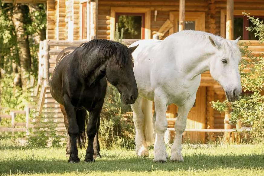 screenshot-2026-02-05-at-16-25-00-4-instagram