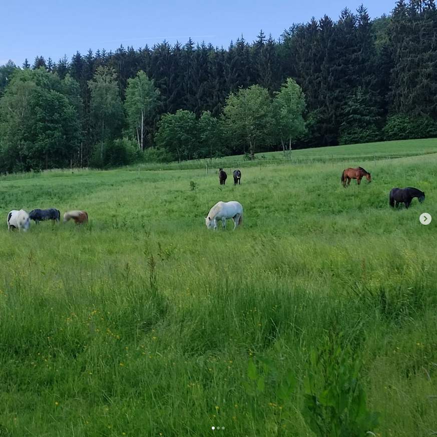 screenshot-2026-02-05-at-16-43-10-4-instagram