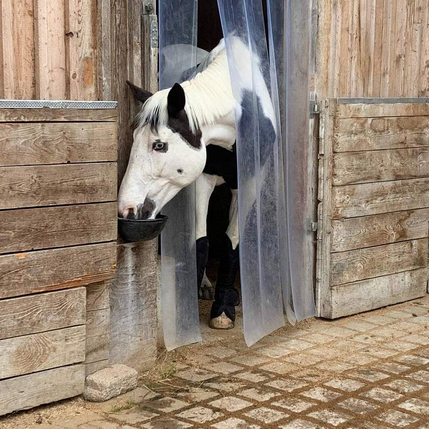 screenshot-2026-02-05-at-16-44-10-4-instagram