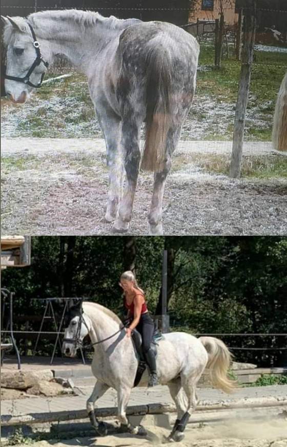 screenshot-2026-02-05-at-16-46-16-4-instagram