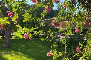 IMG-20260702-WA0028